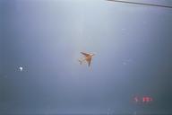 image003_thumb.jpg