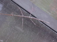 dscn3131_thumb.jpg
