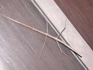 dscn3134_thumb.jpg