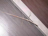 dscn3135_thumb.jpg