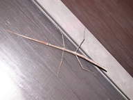 dscn3138_thumb.jpg