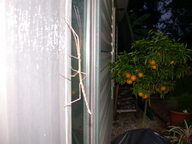 dscn3142_thumb.jpg
