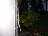 dscn3143_thumb.jpg