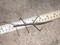dscn3145_thumb.jpg