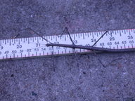 dscn3146_thumb.jpg