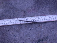 dscn3147_thumb.jpg