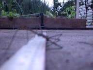 dscn3148_thumb.jpg