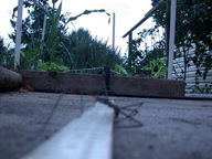 dscn3149_thumb.jpg