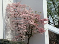 dsc00740_thumb.jpg