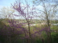 dsc00751_thumb.jpg