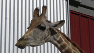 img_3373_thumb.jpg