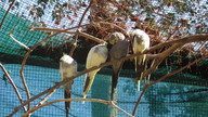 img_3375_thumb.jpg
