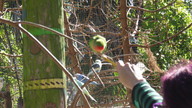 img_3376_thumb.jpg