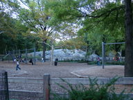 dsc00310_thumb.jpg