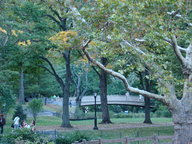 dsc00312_thumb.jpg