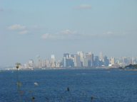 dsc00498_thumb.jpg