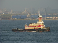 dsc00512_thumb.jpg