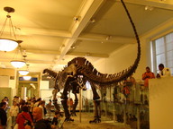 dsc00405_thumb.jpg