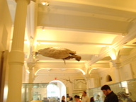 dsc00407_thumb.jpg