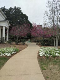 pxl_20240406_171532156_thumb.jpg