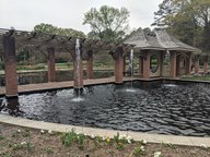 pxl_20240406_173515646_thumb.jpg