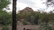 img_2662_thumb.jpg