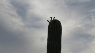 img_2663_thumb.jpg