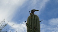 img_2667_thumb.jpg