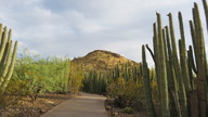 img_2682_thumb.jpg