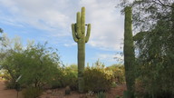 img_2685_thumb.jpg