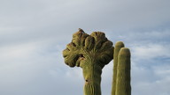 img_2686_thumb.jpg