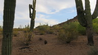 img_2687_thumb.jpg