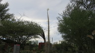 img_2689_thumb.jpg