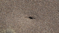 img_2139_thumb.jpg