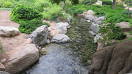 img_2717_thumb.jpg
