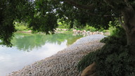 img_2723_thumb.jpg