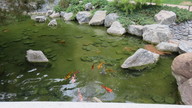 img_2726_thumb.jpg
