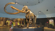 img_3715_thumb.jpg