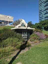 pxl_20231006_221245586_thumb.jpg