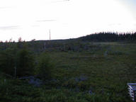 moose5_thumb.jpg