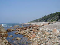 ss_ethie_beach2_thumb.jpg