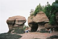 hopewell_rocks3_thumb.jpg