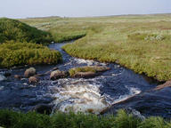 waterfall_thumb.jpg
