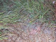 dscn0314_thumb.jpg