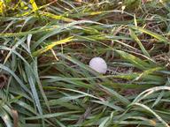 dscn0331_thumb.jpg