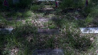 20130624_150310_thumb.jpg
