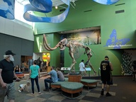 img_20180825_113955_thumb.jpg