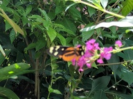 img_20180825_120825_thumb.jpg
