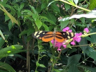 img_20180825_120826_thumb.jpg