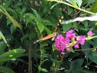 img_20180825_120829_thumb.jpg